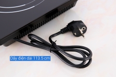 Bếp hồng ngoại đơn Rapido RC2000ES
