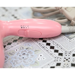 Máy sấy tóc Panasonic EH-ND12-P645