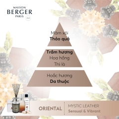 Maison Berger - Bộ tinh dầu xe hơi hương Mystic Leather - 2 cái