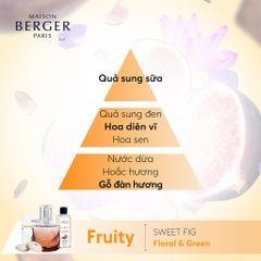 MAISON BERGER - Bộ tinh dầu xe hơi hương Sweet Fig - 2 cái