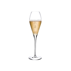 NUDE - Bộ ly Fantasy Champagne - 6 cái