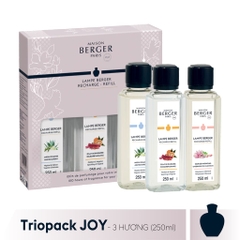 MAISON BERGER - Bộ tinh dầu cho đèn xông Triopack JOY - 3 hương (250ml)