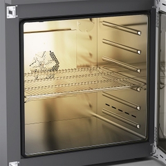 Tủ sấy IKA 125 basic dry loại cửa kính (125 lít, 250°C)