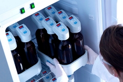 Tủ ấm BOD Velp FOC 120I (120 lít, 3- 50°C, TEMPSoft™)