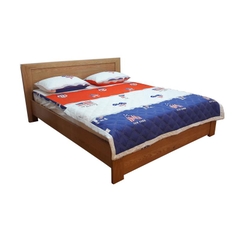 Giường HN9 1m6