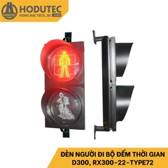 Đèn người đi bộ 2 màu đỏ xanh và đếm ngược D300, RX300-22-TYPE72