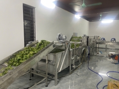 Dây chuyền rửa rau tự động