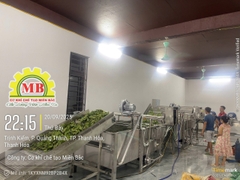 Dây chuyền rửa rau tự động