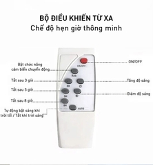 Đèn Đường Năng Lượng Mặt Trời Hình Chiếc Lá 100W CL1100 - Tấm Pin Mono