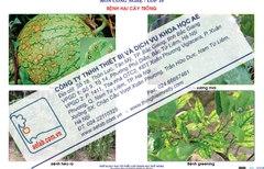 Bệnh hại cây trồng