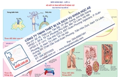 Các hình thức trao đổi khí