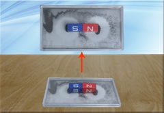 Bộ thí nghiệm từ phổ - đường sức từ (loại 2)