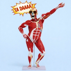 Mô Hình Hệ Cơ (Lớp 2)