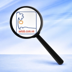 Kính Lúp (Lớp 4)