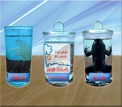 Mẫu động vật ngâm trong lọ