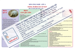 Một số bệnh phổ biến ở gia cầm
