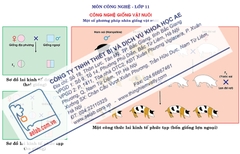 Một số phương pháp nhân giống vật nuôi