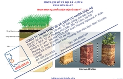 Phẫu diện một số loại đất chính (Tranh giấy)