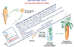 Quy trình nhân giống cây trồng