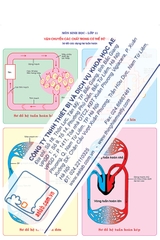 Sơ đồ các dạng hệ tuần hoàn