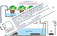 Sơ đồ mô hình thủy canh theo hướng phát triển nông nghiệp sạch