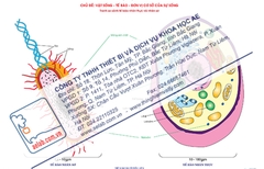 So sánh tế bào nhân thực và nhân sơ (Tranh giấy)