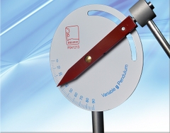 Variable g Pendulum