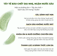Tẩy Tế Bào Chết ARUMORE Jeju Scrub Mask Tẩy Da Chết Xương Rồng Jeju Giúp Da Sạch Sâu Sáng Mịn 30G