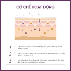 Serum Dưỡng Sáng Da, Giảm Quầng Thâm Chuyên Sâu Dr.Ceuracle PLC Vita K Liposome Oil Ampoule 50ml