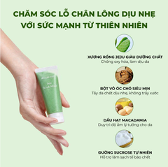 Tẩy Tế Bào Chết ARUMORE Jeju Scrub Mask Tẩy Da Chết Xương Rồng Jeju Giúp Da Sạch Sâu Sáng Mịn 30G