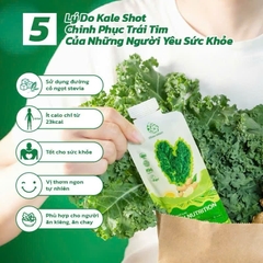 Nước Uống Bổ Sung Organic Kale Shot Châu Nhiên (14 gói x 30ml)