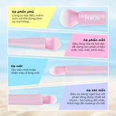 Horus Set Cọ trang điểm Essential Makeup Brush Set 5 Cọ