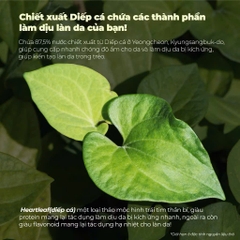 Tinh Chất Giúp Làm Dịu, Phục Hồi Cho Da Nhạy Cảm Neogen Dermalogy Real Heartleaf Essence 150ml