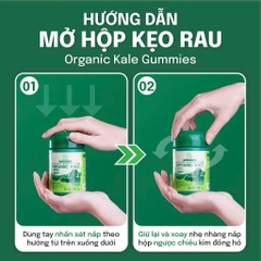 Kẹo Rau Thuần Chay Không Gelatin Organic Kale Gummies (45 viên)