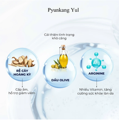 Kem Dưỡng Da Cấp Ẩm Làm Mềm Mịn Cho Da Pyunkang Yul Nutrition Cream 20ml