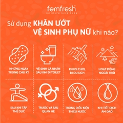 Khăn giấy ướt vệ sinh vùng kín phụ nữ cao cấp Femfresh Wipes