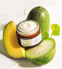 Thạch Bí Đao Cocoon Cấp Ẩm Và Ngừa Mụn 30ml/100ml