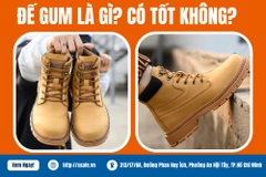 Đế Gum Là Gì? Đế Gum Có Tốt Không? Ưu Nhược Điểm Chi Tiết