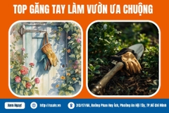 Top 7 Loại Găng Tay Làm Vườn Ưa Chuộng Và 7 Tiêu Chí Chọn Mua Bạn Cần Biết