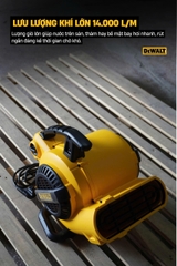 Máy thổi khô thảm, sàn Dewalt DXAM2250 130W