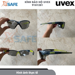 Kính bảo hộ Uvex 9181281