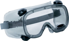 Kính Bảo Hộ Trong Suốt Deltaplus Ruiz 1