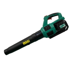 Máy thổi  bụi không chổi than dùng pin DCA ADQF20091EM