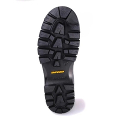 Giày Bảo Hộ DHCEP S201 Cổ Thấp (Có Hộp)