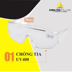 Kính bảo hộ Deltaplus Piton2 Kính chống bụi, chống tia UV