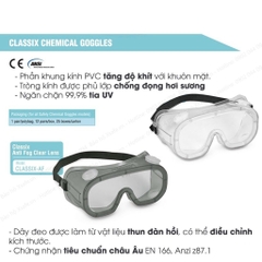 Kính bảo hộ chống hóa chất Proguard Classix AF