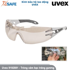 Kính bảo hộ Uvex 9192881 PHEOS GUARD chống bụi, không đọng sương, trầy xước, ngăn chặn tia UV, dùng đi xe máy, làm việc