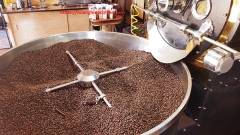 Cà Phê Arabica - Typica