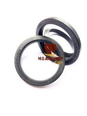 Ron Máy Pha RANCILIO- O-Ring Gazket Rancilio
