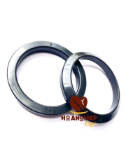 Ron Máy Pha NOUVA APPIA2 - O-ring Gazket Nouva Simoneli Appia